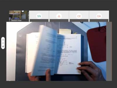 Online Lehre: Prof. Dr. Fröse