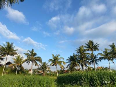 Laura E. Prakitkum auf Bali