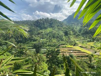 Laura E. Prakitkum auf Bali